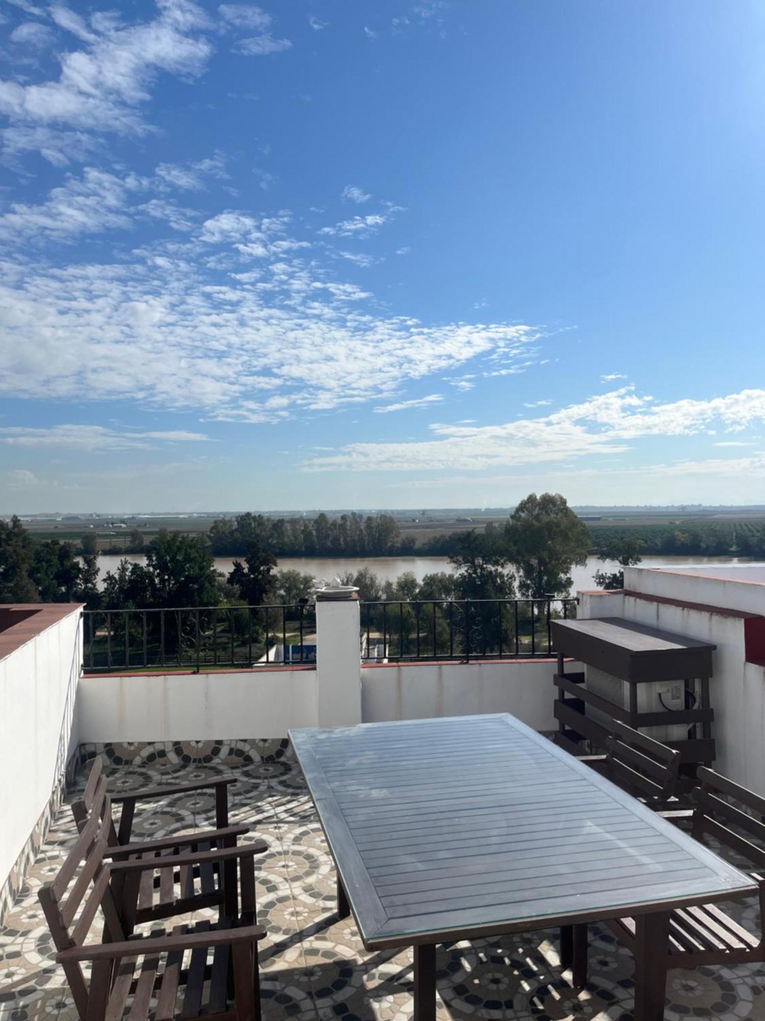 Estudio Las Palmillas La Puebla del Rio Ngoại thất bức ảnh